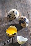 Quail eggs on old wood background