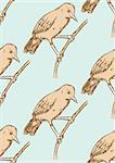 Sketch rufous hornero bird in vintage style, vector seamless pattern