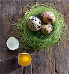 quail eggs in a nest on a wooden background