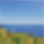 Photorealistic blurred landscape background, vector illustration, EPS10