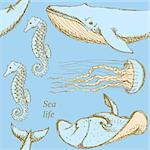 Sketch sea creatures in vintage style, vector seamless pattern