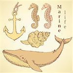 Sketch sea creatures in vintage style, vector