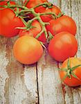 Heap of Fresh Ripe Red Cherry Tomatoes with Stem and Twigs on Rustic Wooden background. Retro Styled