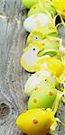 Easter Theme with Colored Spotted Yellow and Green Eggs and Decorative Chickens with Bows In a Row closeup on Rustic Wooden background. Focus on Foreground