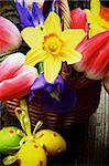 Arrangement of Yellow Daffodils, Magenta Tulips, Purple Irises in Wicker Basket with Colored Easter Eggs closeup on Wooden background