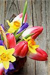 Bunch of Yellow Daffodils, Magenta Tulips and Purple Irises in Wicker Basket closeup on Rustic Wooden background