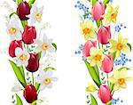 Two seamless borders with spring flowers - tulips and daffodils