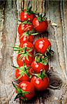 Shiny Ripe Cherry Tomatoes with Stems In a Row on Rustic Wooden background. Focus on Foreground