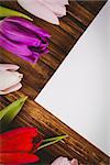 Tulips forming frame around white card on wooden table