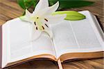 Lily flower resting on open bible on wooden table