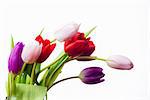 Bunch of tulips and white card on white background