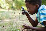 Cute little boy looking through magnifying glass on a sunny day