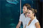 Couple looking at fish in tank at the aquarium