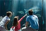 Family looking at fish tank at the aquarium