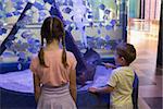 Cute children looking at fish tank at the aquarium