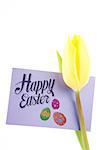 happy easter against tulip with card