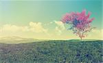 3D render of a maple tree in a grassy landscape with vintage effect