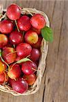 Basket full of fresh mirabelle plums