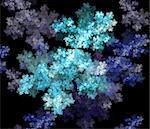 Snowflake double frozen frost. Fractal art graphics