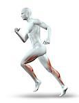 3D render of a male figure running with leg muscles showing