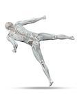 3D render of a male medical figure in kick boxing pose with skeleton
