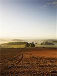 A ploughed field and view over surrounding undulating hills, at dawn with a mist rising from the land.