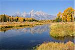 Schwabacher Landing with Teton mountain range in background, autumn, Jackson Hole, Grand Teton National Park, Wyoming, USA