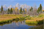 Schwabacher Landing with Teton mountain range in background, autumn, Jackson Hole, Grand Teton National Park, Wyoming, USA