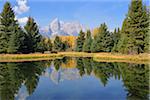 Schwabacher Landing with Teton mountain range in background, autumn, Snake River, Jackson Hole, Grand Teton National Park, Wyoming, USA