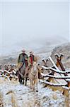 Cowboy and Cowgirl riding on horses beside fence in snow, Rocky Mountains, Wyoming, USA