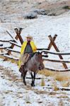 Cowboy riding horse beside fence in snow, Rocky Mountains, Wyoming, USA