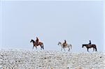 Cowboy with Two, Young Cowboys riding horses along Horizon in snow, Rocky Mountains, Wyoming, USA