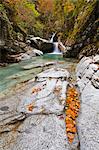 France, Aquitaine, Pyrenees Atlantiques, Waterfall and leaves grouped in a rock fissure on the bed of Bious river