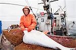 , A Commercial Fisherwoman, Gutting A Freshly Caught Pacific Halibut While Fishing In Morzhovoi Bay, Southwest Alaska, Summer.