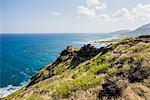 View of clifftops and coastline, Makapuu, Oahu, Hawaii, USA