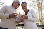 Husband and wife toasting, Hahn Park, Los Angeles, California, USA