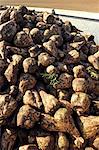 France, Seine et Marne, heap of Snatched sugar beets into a trailer