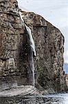 Steep cliffs filled with nesting birds on the south side of Bjornoya (Bear Island), Svalbard, Norway, Scandinavia, Europe