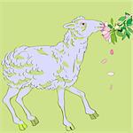 Hand drawn illustration of a sheep eating apple tree flowers, spring greetings card on a green background