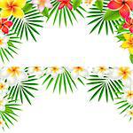 Tropical Flowers Border Set, With Gradient Mesh, Vector Illustration