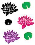 vector illustration of lotus flowers with leaves