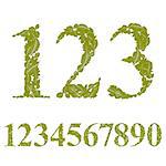 Numbers made with leaves, floral numerals set, vector illustration.