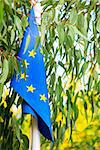 EU flag among the leaves of the tree