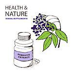 Health and Nature Supplements Collection.  Elderberry - Sambucus