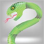 colorful illustration  with green snake attack on grey backgrounds