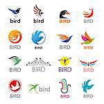 big set of vector logos birds