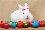 Cute easter bunny sitting among colorful eggs - on golden background