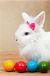 Cute bunny with colorful easter eggs on golden background - closeup