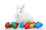 Cute white easter bunny among colorful eggs - isolated