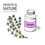 Health and Nature Supplements Collection.  Thyme - Thymus vulgaris